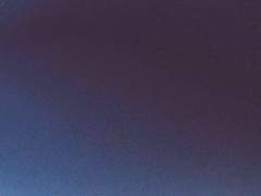 사랑하는 mon ami