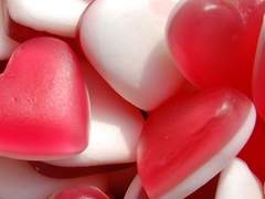 Candy, Jelly, Puppy and Hamster!