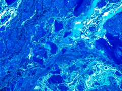 바닷가의 추억...