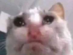 유여주와 00즈 TALK 10