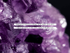 그건 어쩌면 입 안에서 부스러지는 자수정