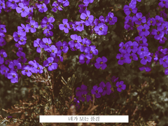 네가 보는 풍경