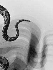 주술회전 드림_역린