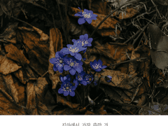 지하에서 가장 흔한 것