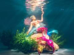 인어(人魚) 의 계절