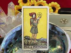 이번 주의 카드: Page of Pentacles