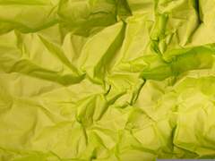 [백천청명일소]續 입질 (5)