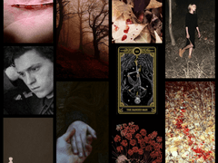 [토니피터] Don’t Look Back in Anger 2편