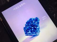 시선으로부터│2021.02.27 ~ 2021.02.28