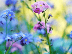 해피데이의 육개월