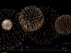 [ 도리벤 ] Q&A 질문 받아요!