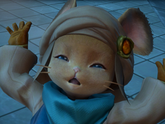 최적화가 실패한 곳