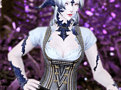 FF14 빛의 전사 프로필