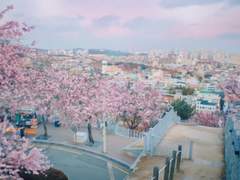 내가 너에게 닿을게(13)