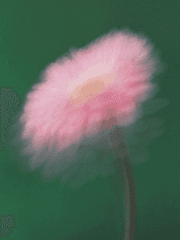 이 사랑을 끝내자