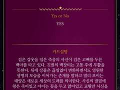 뷔진 + 진른 타로 6.