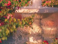 다복팔당多福八堂