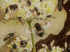 0. 프롤로그 -초대- (1)