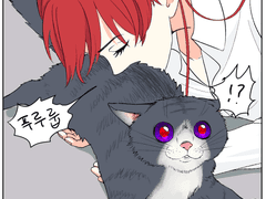 [덴화빈]그저 냥빨을 할 뿐