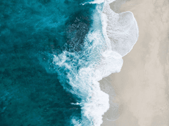 이 세상에 너와 나만 남겨진다면