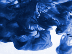 죽을 때 죽는다는 걸 알 수 있어?