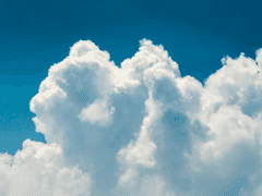 서대리는 왜 연애를 안하는가