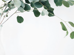 [단편] 스물다섯, 스물하나 (+)