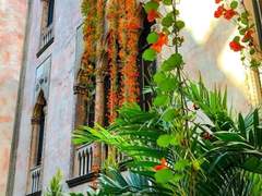 로세타우의 민물고래 上