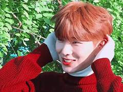 내 여우를 소개합니다 外