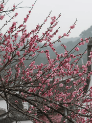 화산귀환 2차 모음