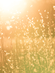 영웅들의 대 서사시 (아델 로버트)