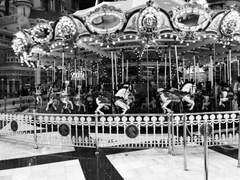 [단편] 회전목마를 탄 원숭이