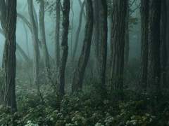 온화한 밤의 키스 03