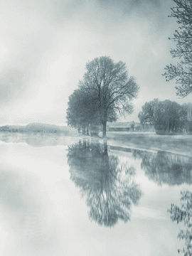 [혼돈유진] 수월경화 (水月鏡花)