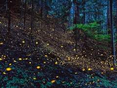 [손더게/화평최윤] 평범 2