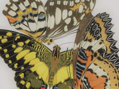 2. f(10월 2일) = 변화 (2)