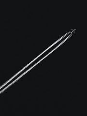 [BL] The Scent of Sense