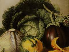 7. f(5월 8일) = 혼선 (4)