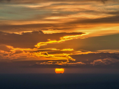 [캣한조 / 맥한조] 콜 캐서디라는 자