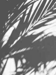 네 옆에는 내가