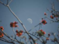 로망 사용 설명서