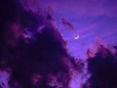 아리스타 로망에 대하여.