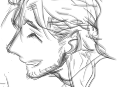 파인딩 브루노 안드레 모음집