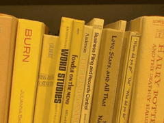 남편 시리즈 : 박지성 G