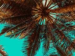 𝚜𝚑𝚘𝚠𝚎𝚛