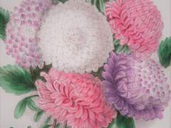 12. f(6월 7일) = 인연 (3)