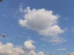 오삼공 타로 커미션