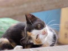 2018년 7월 21일의 기록