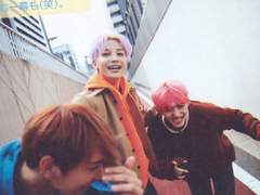 너토밤나무숲에 어서오세요