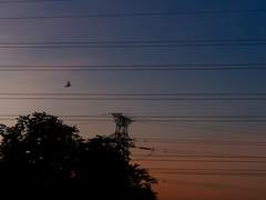 [로이요르] 붉은 눈의 괴물 (1)